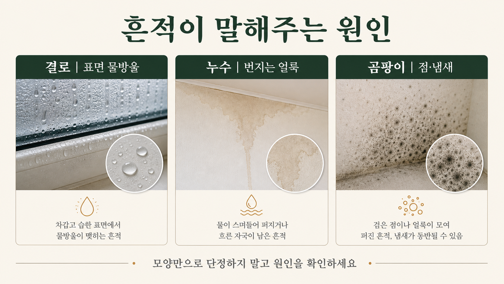 결로 누수 곰팡이 흔적 비교